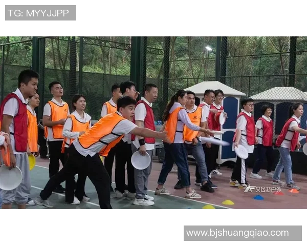 飞盘盛宴：深入探讨杭州飞盘队的默契配合与战术策略